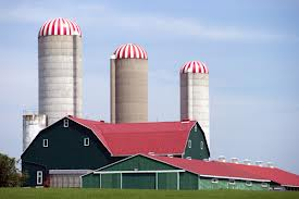 Farm Structures Insurance in Milford, Seward County, Wymore, NE